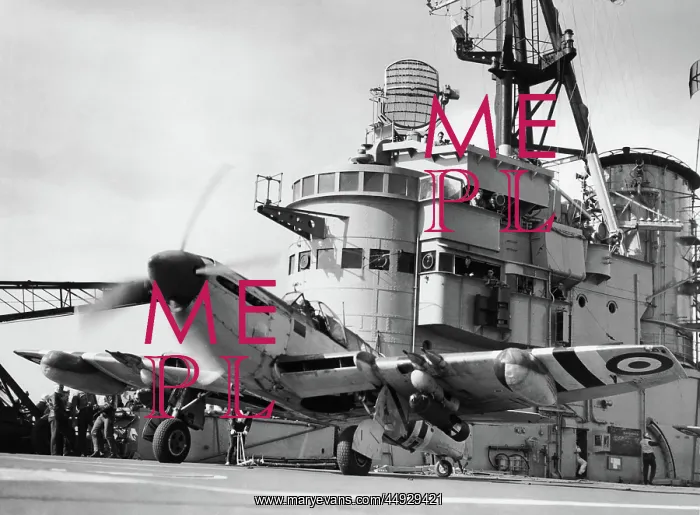 : Fairey Firefly : Fairey Firefly