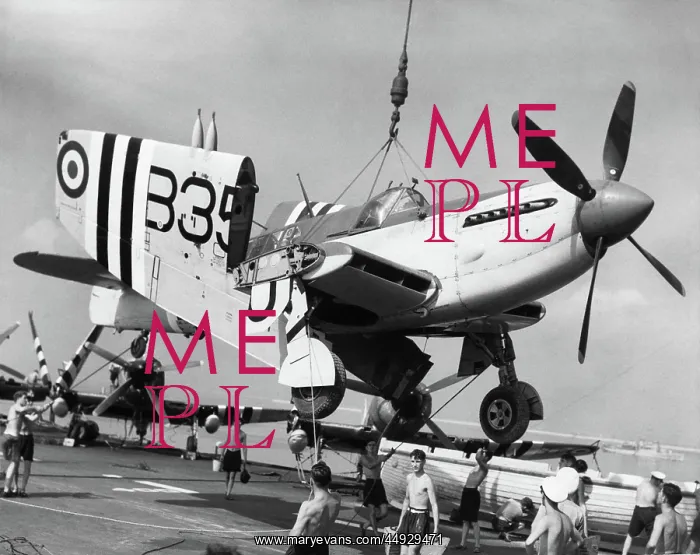 : Fairey Firefly : Fairey Firefly