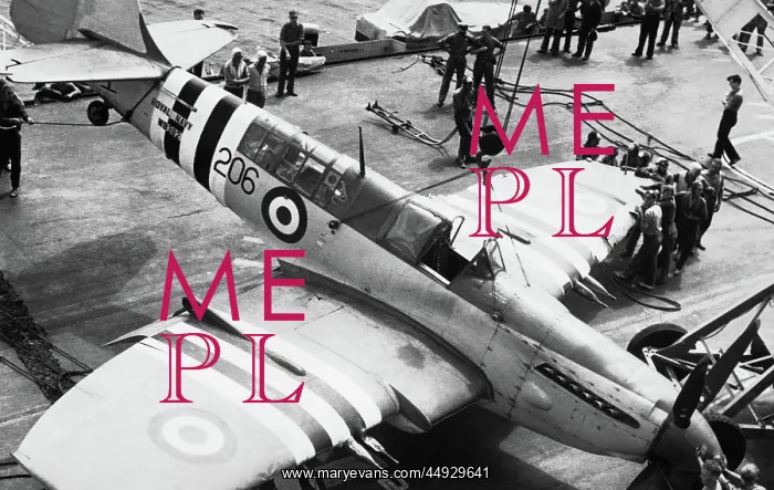 : Fairey Firefly : Fairey Firefly