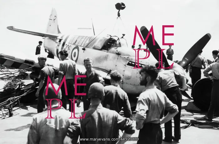 : Fairey Firefly : Fairey Firefly