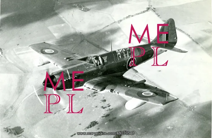 : Fairey Firefly 5 of the Royal Australian Navy : Fairey Firefly 5 of the Royal Australian Navy