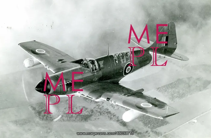 : Fairey Firefly FR4 : Fairey Firefly FR4