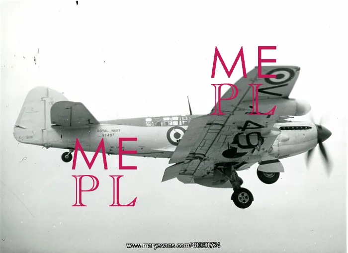 : Fairey Firefly FR4, VT497 : Fairey Firefly FR4, VT497