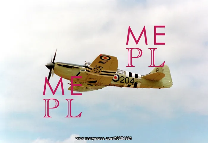 : Fairey Firefly AS Mk.5 WB271 : Fairey Firefly AS Mk.5 WB271
