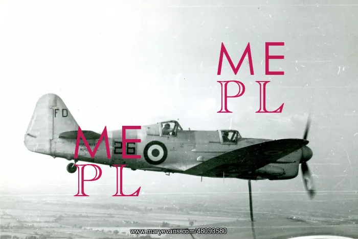 : Fairey Firefly T1, MB564 : Fairey Firefly T1, MB564