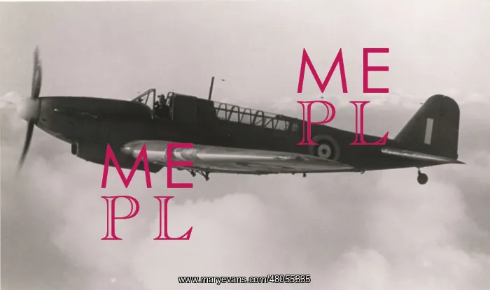 : Fairey Fulmar in flight : Fairey Fulmar in flight