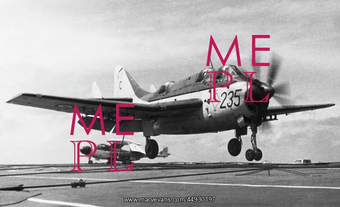: Fairey Gannet : Fairey Gannet