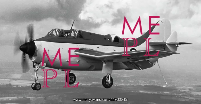 : Fairey Gannet : Fairey Gannet