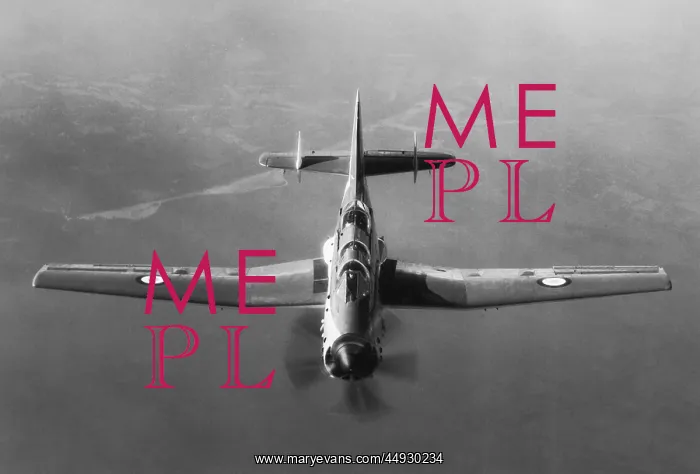: Fairey Gannet : Fairey Gannet