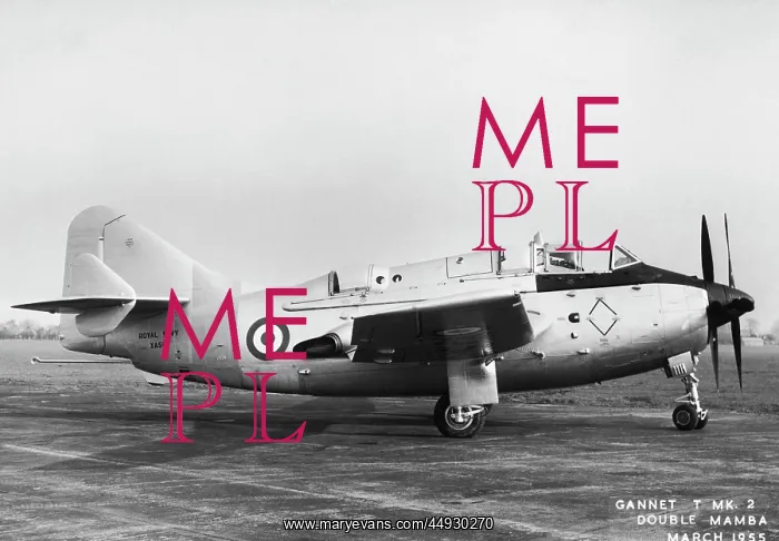 : Fairey Gannet : Fairey Gannet