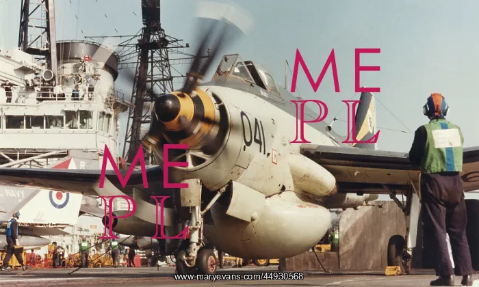 : Fairey Gannet : Fairey Gannet