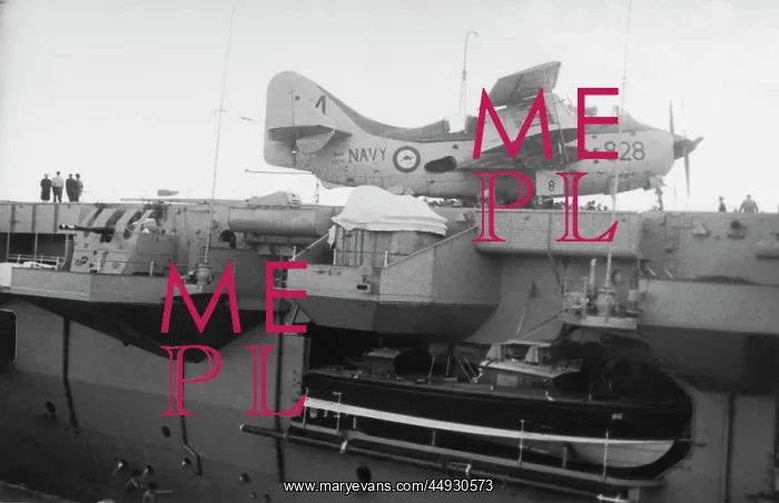 : Fairey Gannet : Fairey Gannet