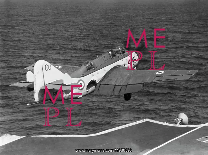 : Fairey Gannet : Fairey Gannet