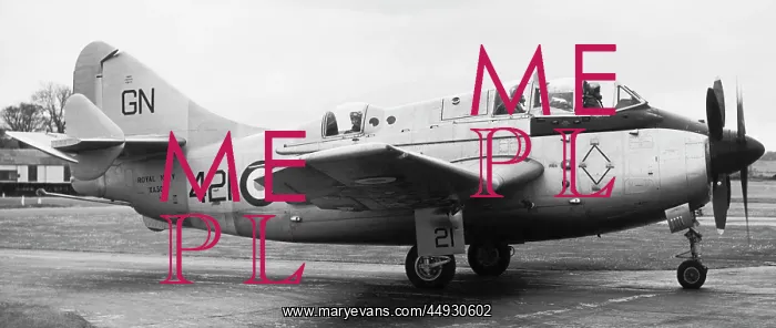 : Fairey Gannet : Fairey Gannet