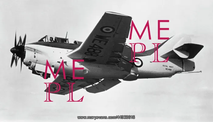 : Fairey Gannet : Fairey Gannet