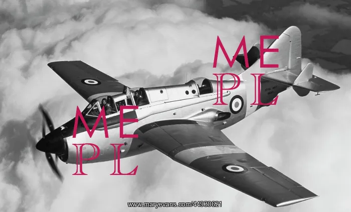 : Fairey Gannet : Fairey Gannet