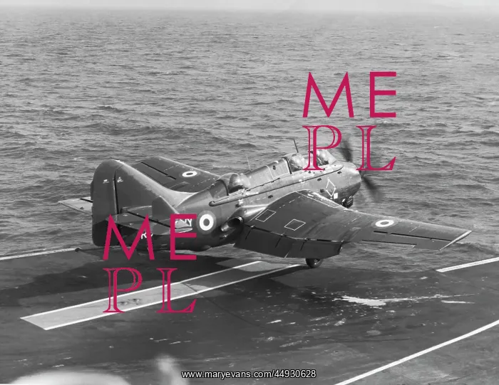 : Fairey Gannet : Fairey Gannet