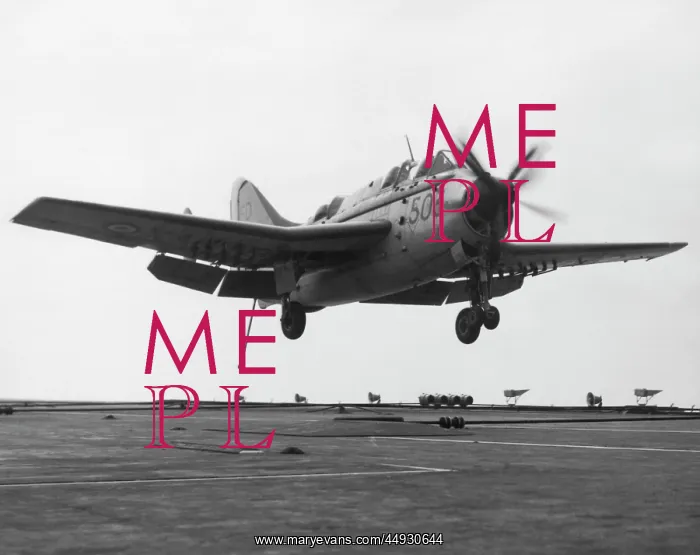 : Fairey Gannet : Fairey Gannet