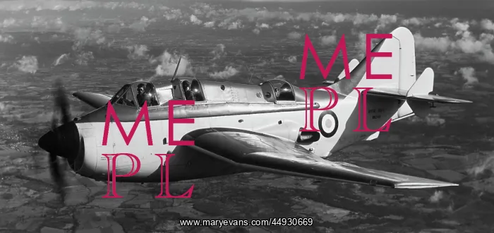 : Fairey Gannet : Fairey Gannet