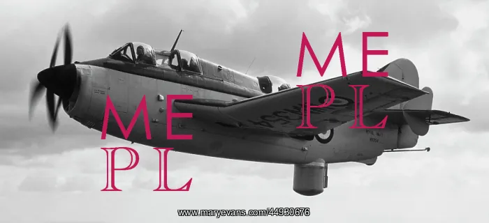 : Fairey Gannet : Fairey Gannet