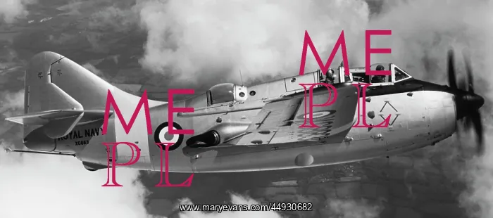 : Fairey Gannet : Fairey Gannet