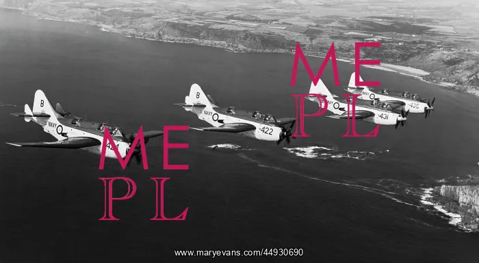 : Fairey Gannet : Fairey Gannet