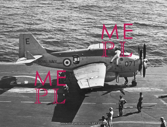 : Fairey Gannet : Fairey Gannet