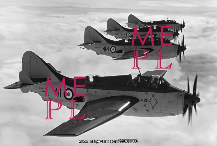 : Fairey Gannet : Fairey Gannet