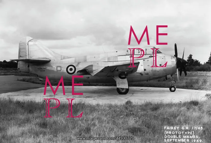 : Fairey Gannet : Fairey Gannet