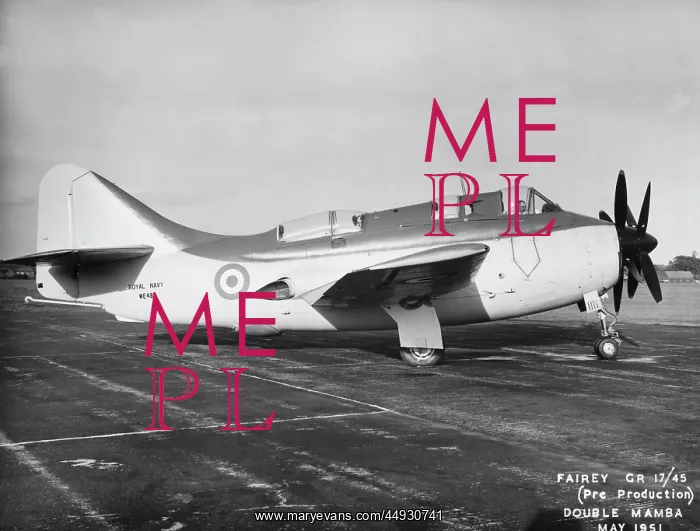 : Fairey Gannet : Fairey Gannet
