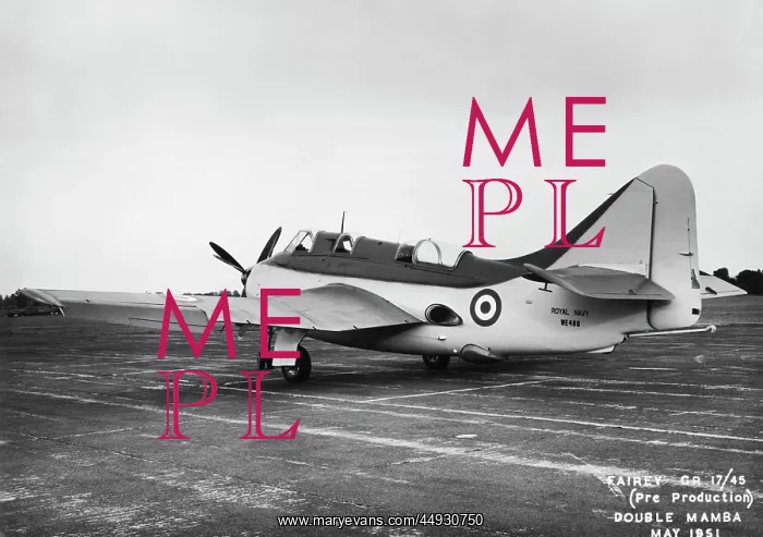 : Fairey Gannet : Fairey Gannet