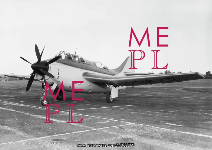 : Fairey Gannet : Fairey Gannet