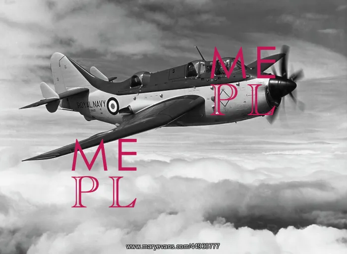 : Fairey Gannet : Fairey Gannet