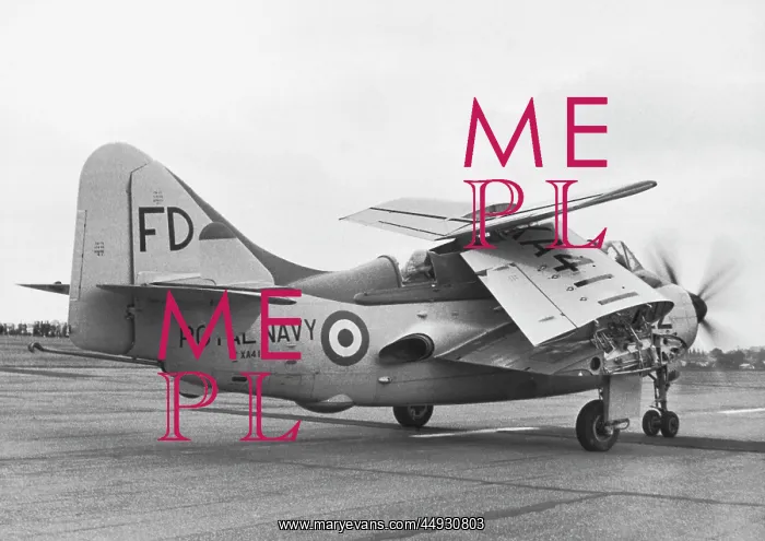 : Fairey Gannet : Fairey Gannet