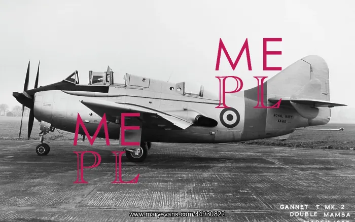 : Fairey Gannet : Fairey Gannet