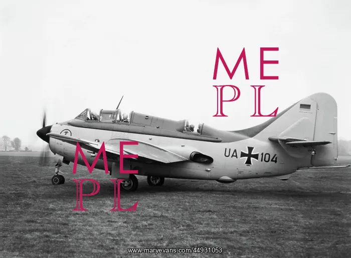 : Fairey Gannet : Fairey Gannet