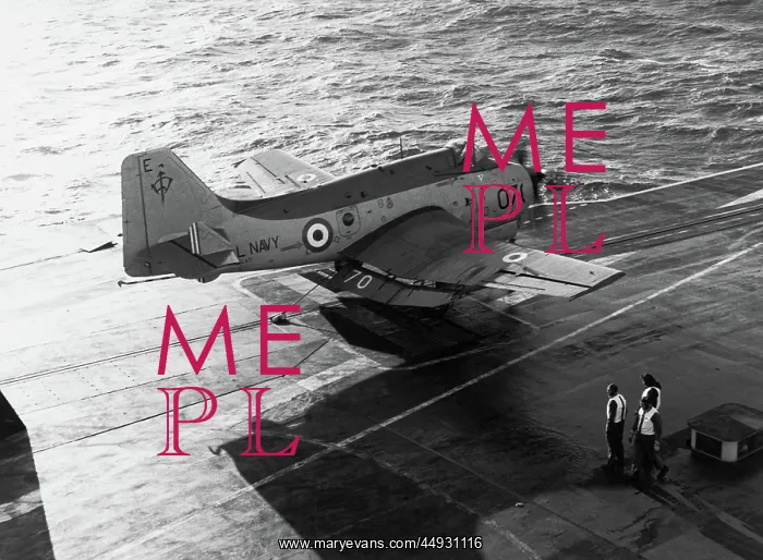 : Fairey Gannet : Fairey Gannet