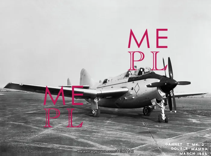 : Fairey Gannet : Fairey Gannet