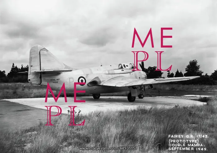 : Fairey Gannet : Fairey Gannet