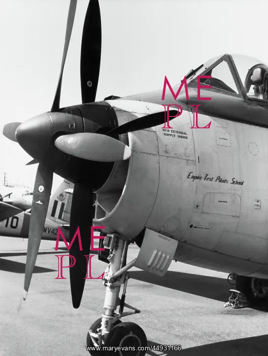 : Fairey Gannet : Fairey Gannet