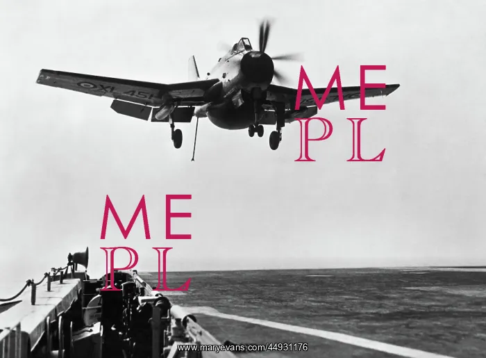 : Fairey Gannet : Fairey Gannet