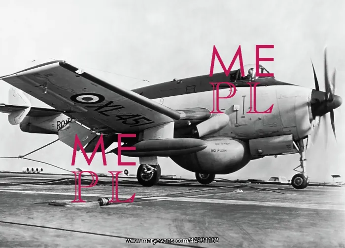 : Fairey Gannet : Fairey Gannet