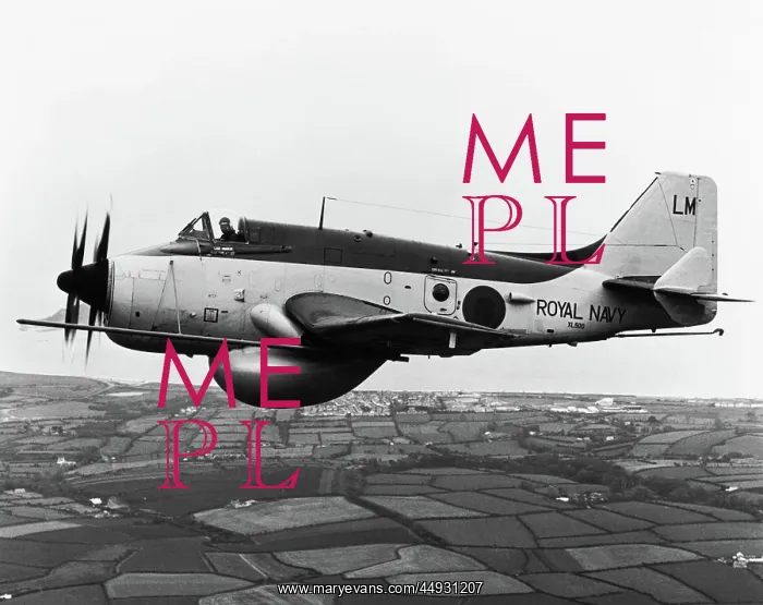 : Fairey Gannet : Fairey Gannet