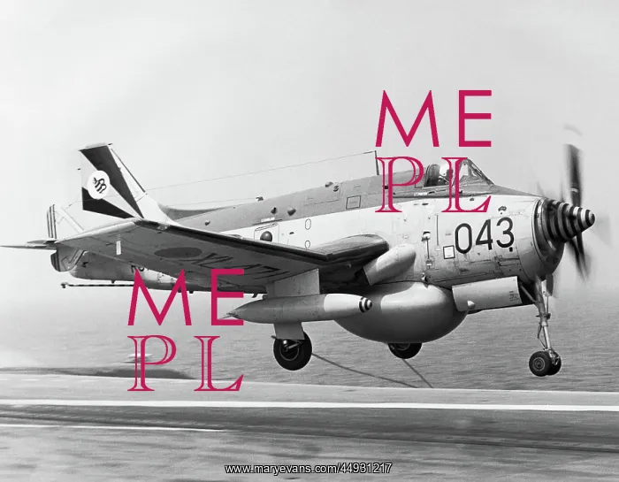 : Fairey Gannet : Fairey Gannet