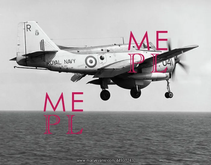 : Fairey Gannet : Fairey Gannet