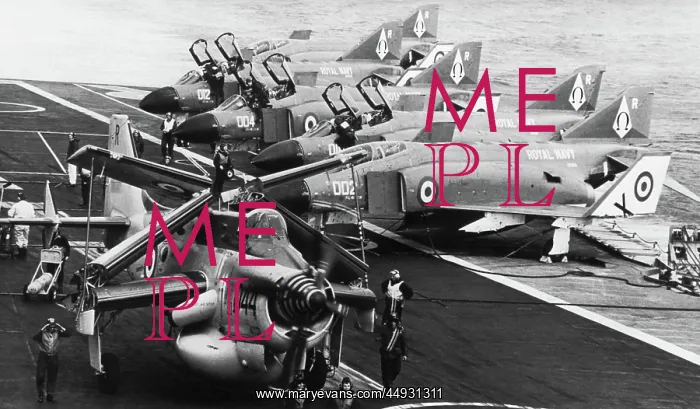  : Fairey Gannet