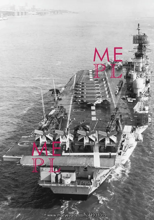 : Fairey Gannet : Fairey Gannet