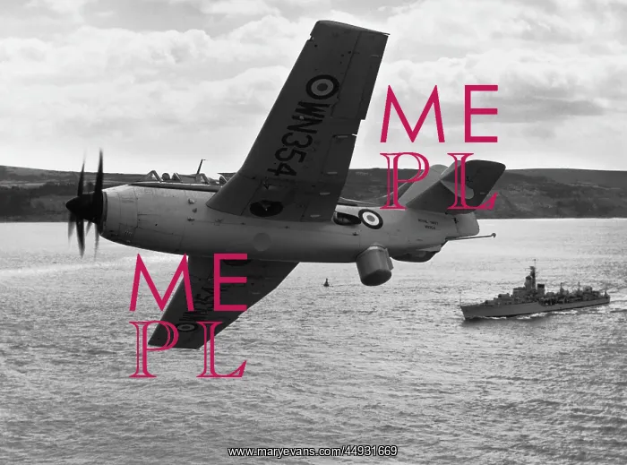 : Fairey Gannet : Fairey Gannet