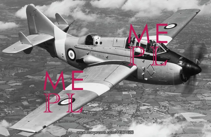 : Fairey Gannet : Fairey Gannet