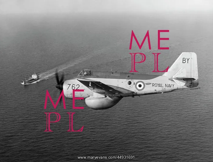 : Fairey Gannet : Fairey Gannet